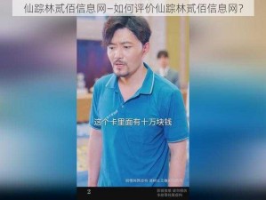 仙踪林贰佰信息网—如何评价仙踪林贰佰信息网？