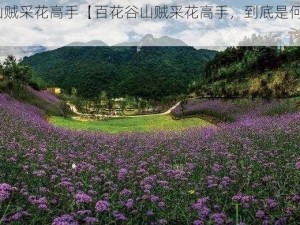 百花谷山贼采花高手【百花谷山贼采花高手，到底是何方神圣？】