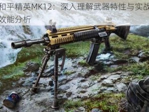 和平精英MK12：深入理解武器特性与实战效能分析