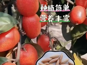 奶块农业种植艺术：特殊果实培育秘诀与高效种植技巧探索