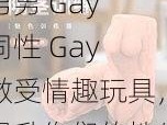 男男 Gay 同性 Gay 做受情趣玩具，提升你们的性生活体验