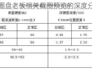 关于套圈盘老板相关截图预览的深度分析报告