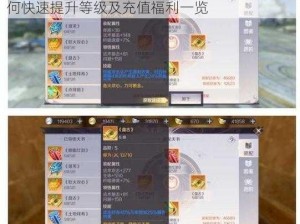 完美世界手游寻龙探险充值等级攻略解析：如何快速提升等级及充值福利一览