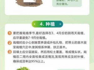 老农种树续缘：详解绿化生态与传承农耕文化的纽带作用