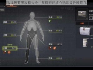 刺激战场亚服攻略大全：掌握游戏核心玩法提升胜算几率