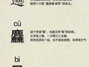 探寻中华文明宝库中的稀有字符：生僻字截图预览之旅