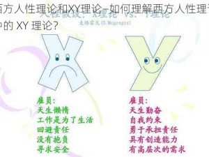 西方人性理论和XY理论—如何理解西方人性理论中的 XY 理论？