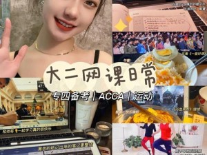 高性价比 ACCA 少女网课视频 2023，专业讲师授课，配套学习资料