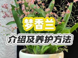 www梦实香草com—如何在www 梦实香草 com上购买心仪的香草产品？