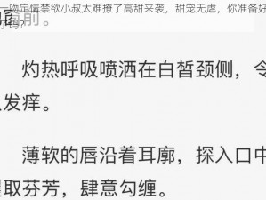 一吻定情禁欲小叔太难撩了高甜来袭，甜宠无虐，你准备好了吗？