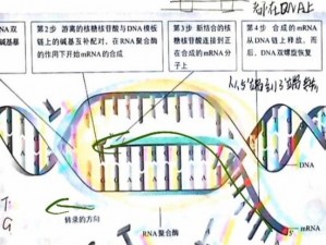 基因密码揭秘：预览科学前沿的遗传信息新纪元解密图展示