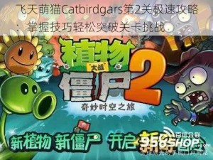 飞天萌猫Catbirdgars第2关极速攻略：掌握技巧轻松突破关卡挑战