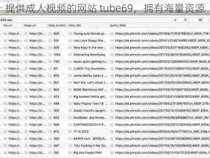 提供成人视频的网站 tube69，拥有海量资源