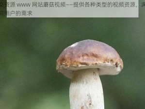 㓜交资源 www 网站蘑菇视频——提供各种类型的视频资源，满足不同用户的需求