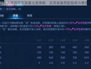 非人学园坦克英雄出装策略：实用装备搭配指南与推荐