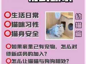 神喻手游攻略：如何获取进阶猫宠的全面指南