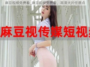 麻豆视频免费看_麻豆视频免费看，高清大片任意点