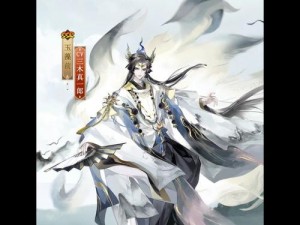 阴阳师绘羽织罗系列新皮肤鉴赏：绮丽与神秘的交织之美