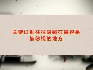 看不见的真相：我的凶手完全解密手册：真相潜藏于细节之中