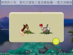 愤怒的小鸟：里约大冒险三星攻略秘籍——图文详解版