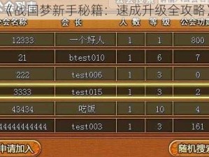 《战国梦新手秘籍：速成升级全攻略》
