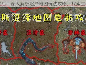 明日之后：深入解析沼泽地图玩法攻略，探索生存秘籍