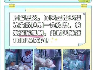 免费观看抓娃娃视频集锦：技巧攻略与精彩瞬间全收录