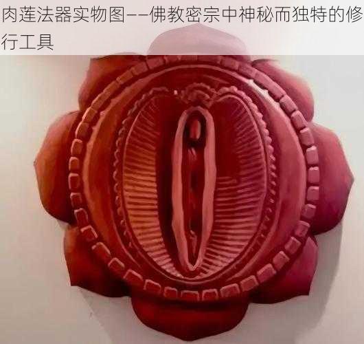 肉莲法器实物图——佛教密宗中神秘而独特的修行工具