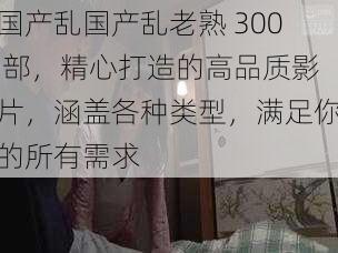 国产乱国产乱老熟 300 部，精心打造的高品质影片，涵盖各种类型，满足你的所有需求