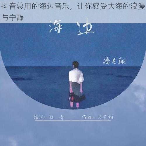 抖音总用的海边音乐，让你感受大海的浪漫与宁静