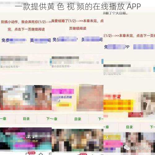 一款提供黄 色 视 频的在线播放 APP