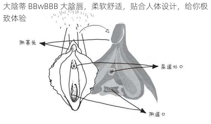 大陰蒂 BBwBBB 大陰唇，柔软舒适，贴合人体设计，给你极致体验