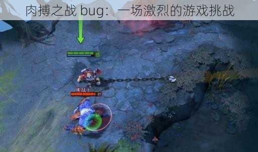 肉搏之战 bug：一场激烈的游戏挑战