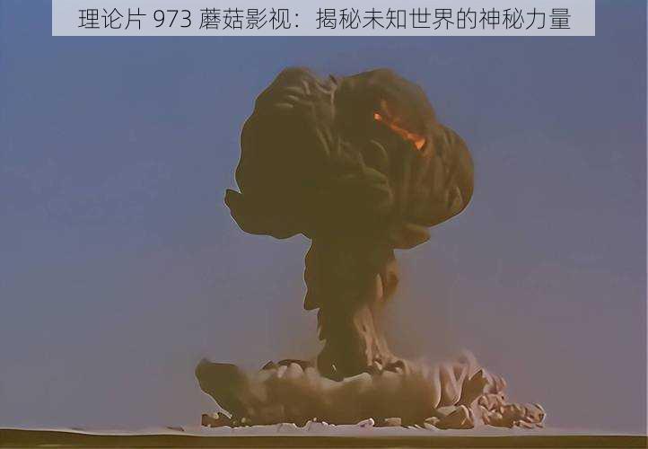 理论片 973 蘑菇影视：揭秘未知世界的神秘力量