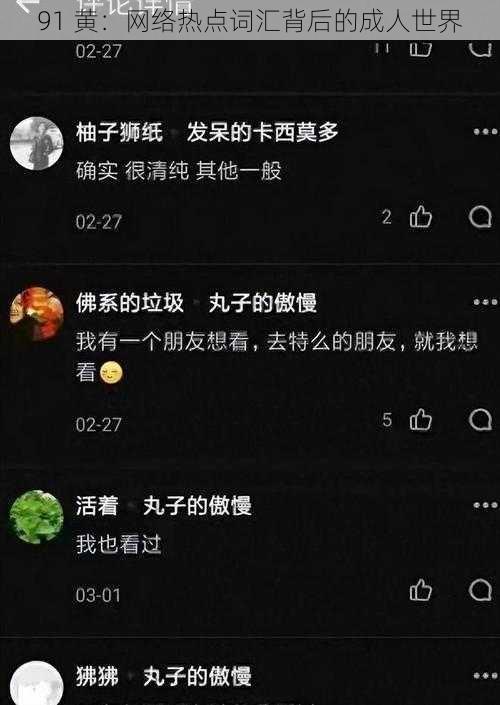 91 黄：网络热点词汇背后的成人世界