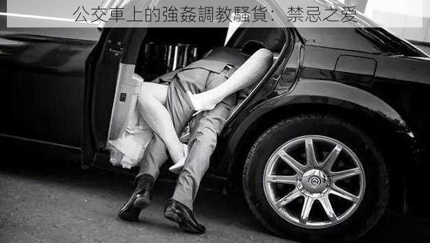 公交車上的強姦調教騷貨：禁忌之爱