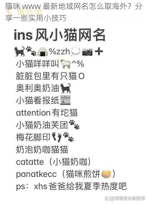 猫咪 www 最新地域网名怎么取海外？分享一些实用小技巧