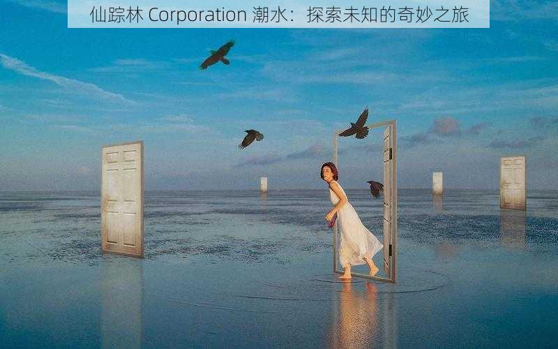 仙踪林 Corporation 潮水：探索未知的奇妙之旅