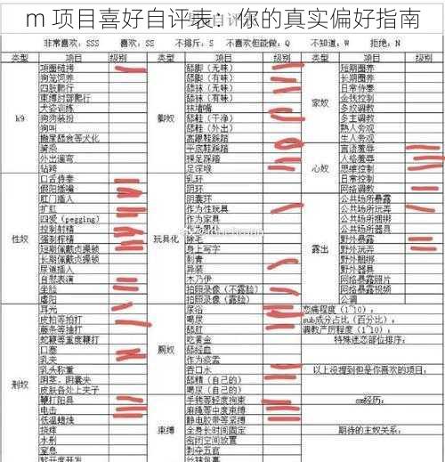 m 项目喜好自评表：你的真实偏好指南