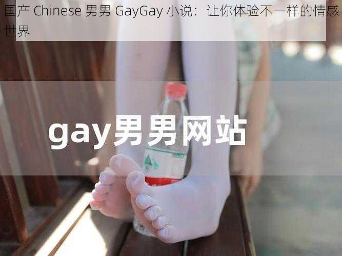 国产 Chinese 男男 GayGay 小说：让你体验不一样的情感世界