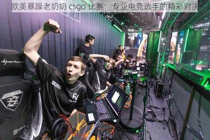 欧美暴躁老奶奶 csgo 比赛：专业电竞选手的精彩对决