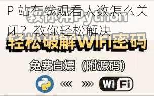 P 站在线观看人数怎么关闭？教你轻松解决