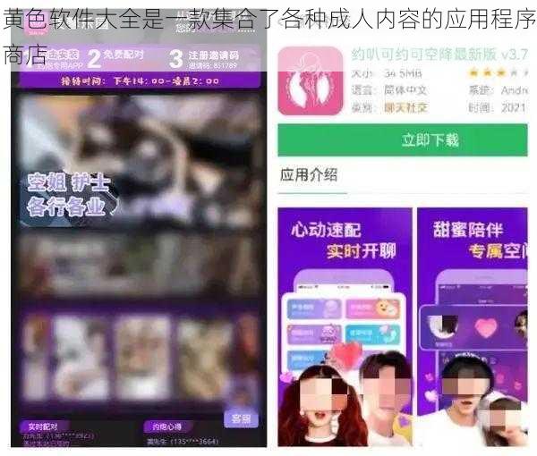 黄色软件大全是一款集合了各种成人内容的应用程序商店