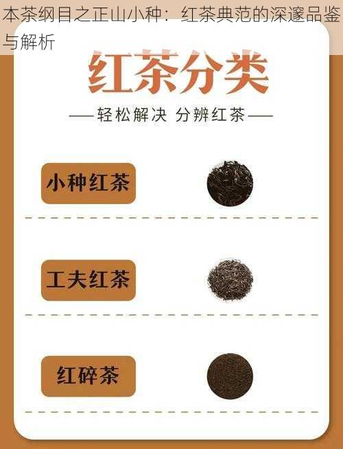 本茶纲目之正山小种：红茶典范的深邃品鉴与解析