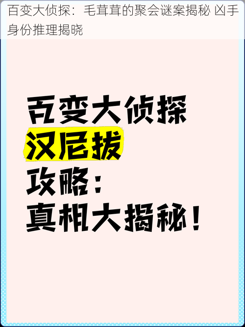 百变大侦探：毛茸茸的聚会谜案揭秘 凶手身份推理揭晓