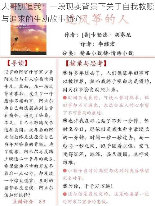 大哥别追我：一段现实背景下关于自我救赎与追求的生动故事简介