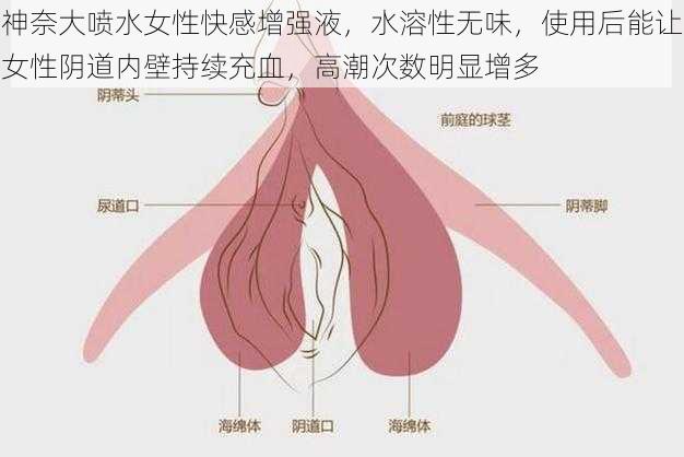 神奈大喷水女性快感增强液，水溶性无味，使用后能让女性阴道内壁持续充血，高潮次数明显增多