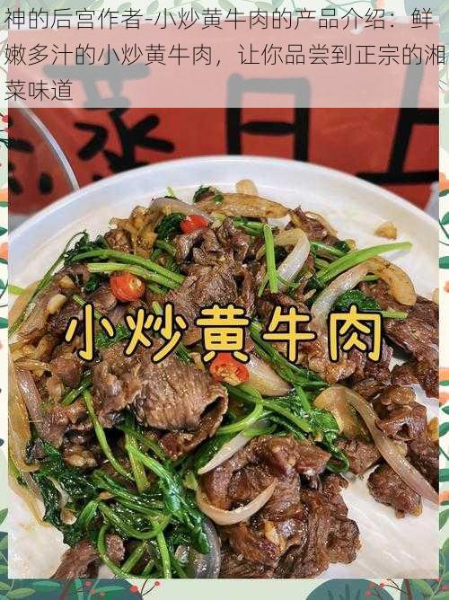 神的后宫作者-小炒黄牛肉的产品介绍：鲜嫩多汁的小炒黄牛肉，让你品尝到正宗的湘菜味道