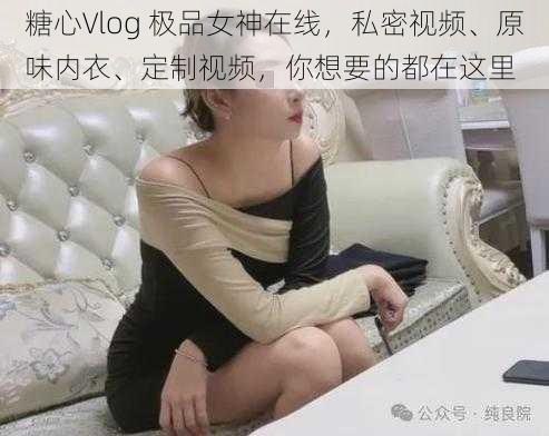 糖心Vlog 极品女神在线，私密视频、原味内衣、定制视频，你想要的都在这里