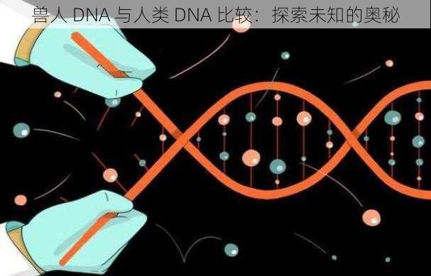 兽人 DNA 与人类 DNA 比较：探索未知的奥秘